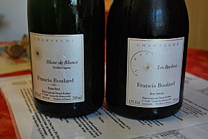 Visite en Champagne Bio - Champagne Francis Boulard et Delphine - Les Rachais